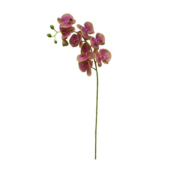 Haste de Orquídea Phalaenopsis Brilliance 95cm - Camicado