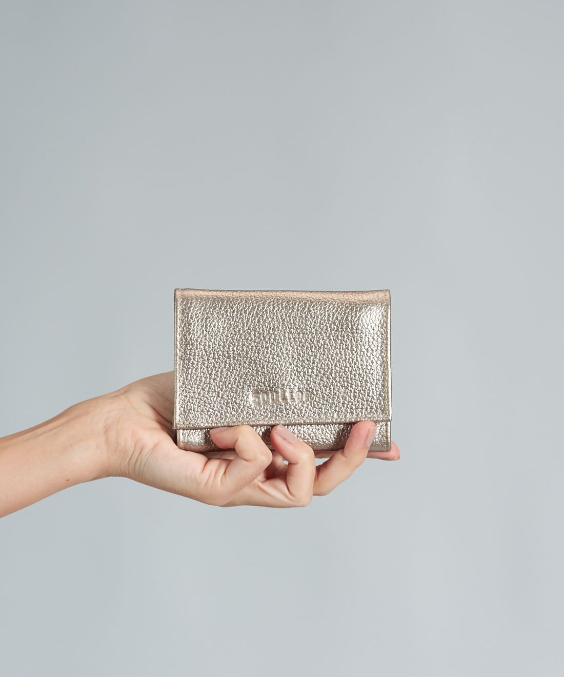 Carteira Compacta Ana - Prata Velho Prata 5