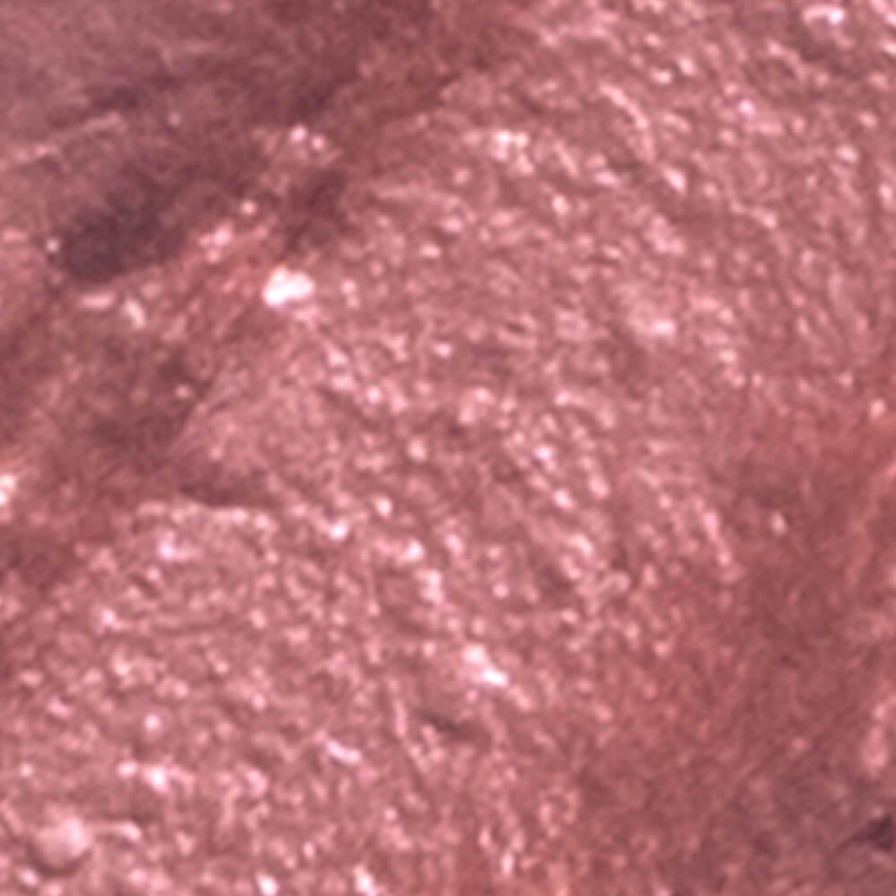 Blush em Bastão Cintilante Nude Rosado - Glow Blush Stick Dreamer Océane Edition 7g Nude Rosado 9