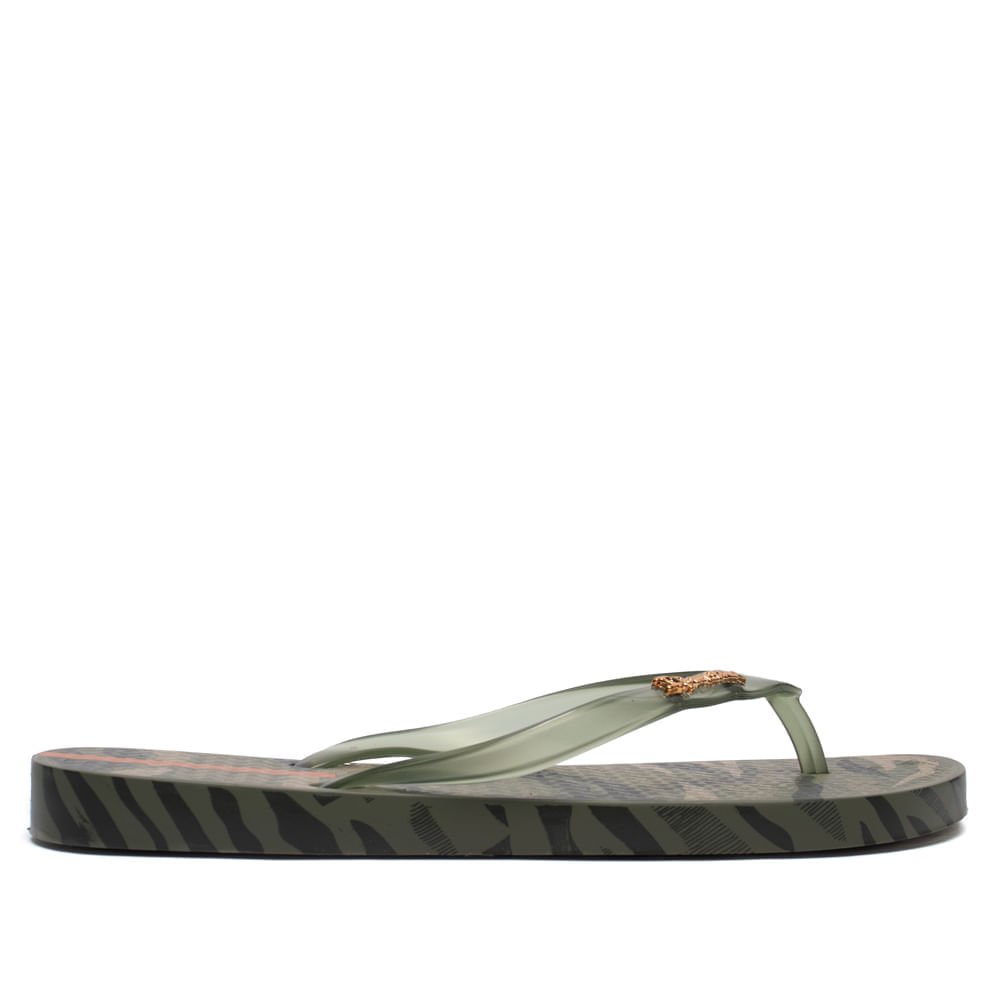 Chinelo Feminino Grendene Ipanema Animal Chic Verde/dourado Verde 2