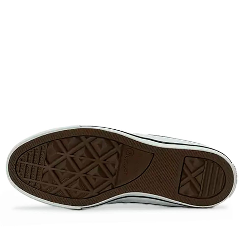 Tênis Feminino Converse Taylor All Star Animal Print Bege Bege 2