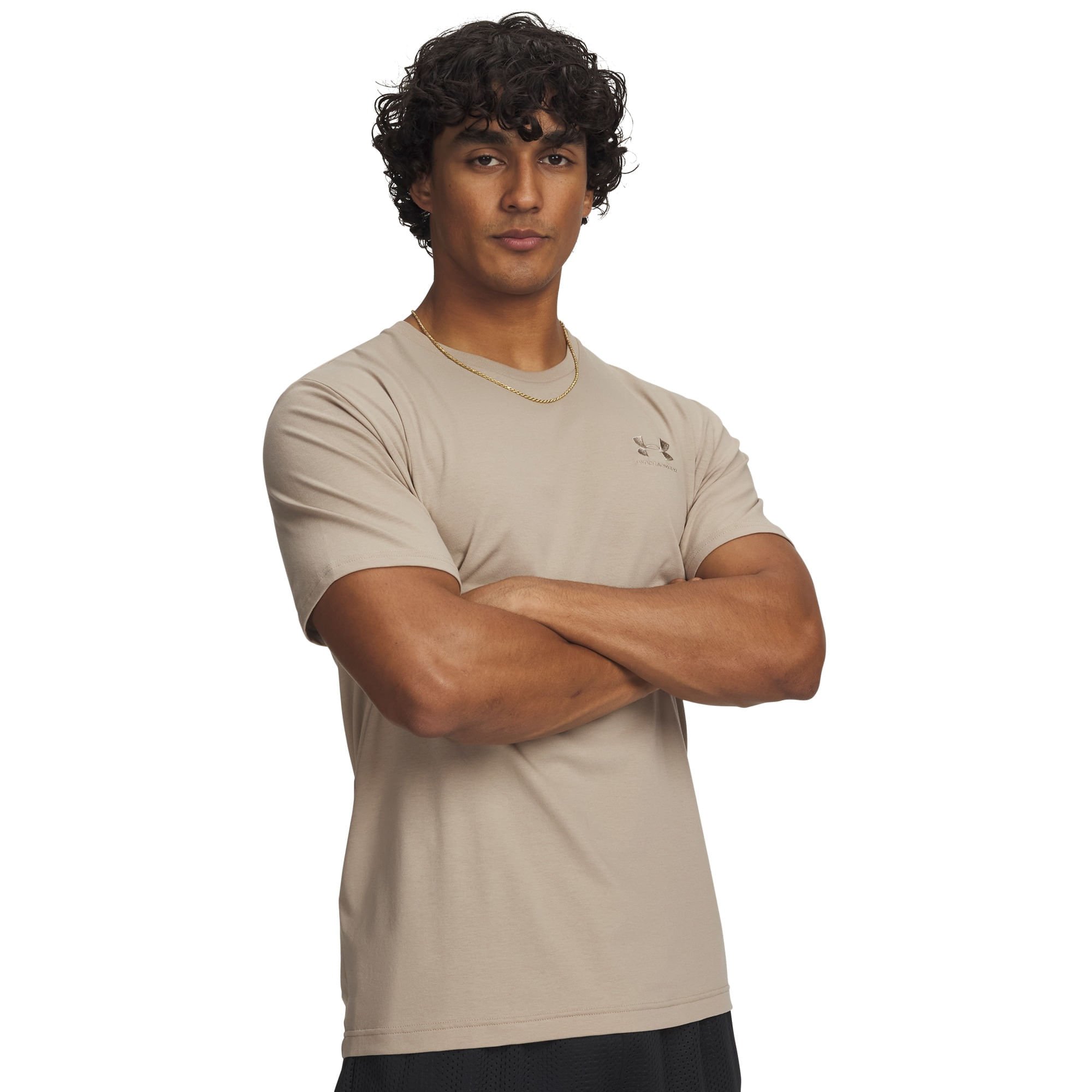 Camiseta Sporstyle Under Armour Icon Tee