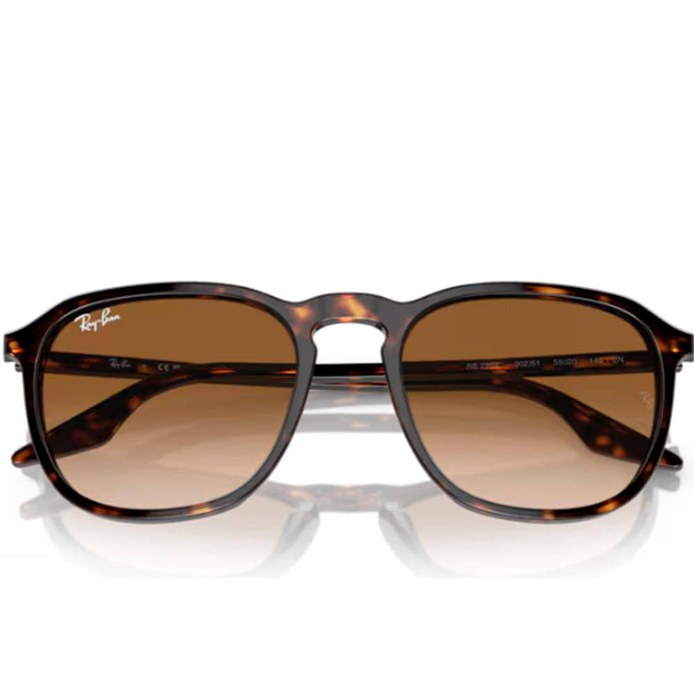 OCULOS SOLAR RAY-BAN RB2203 902/5155 Marrom 2