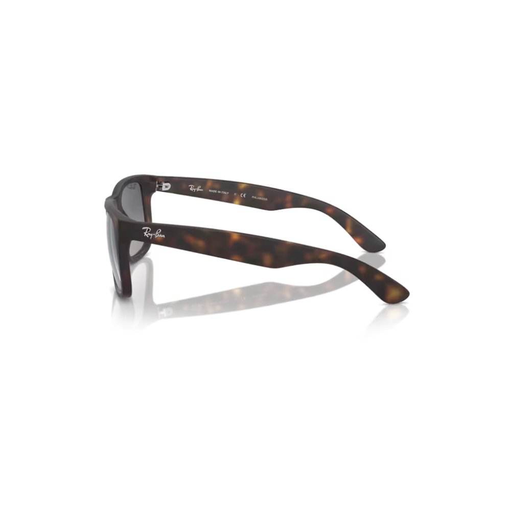 Oculos Solar Ray-Ban Zilo Rb4165 865/8S55 Marrom 2