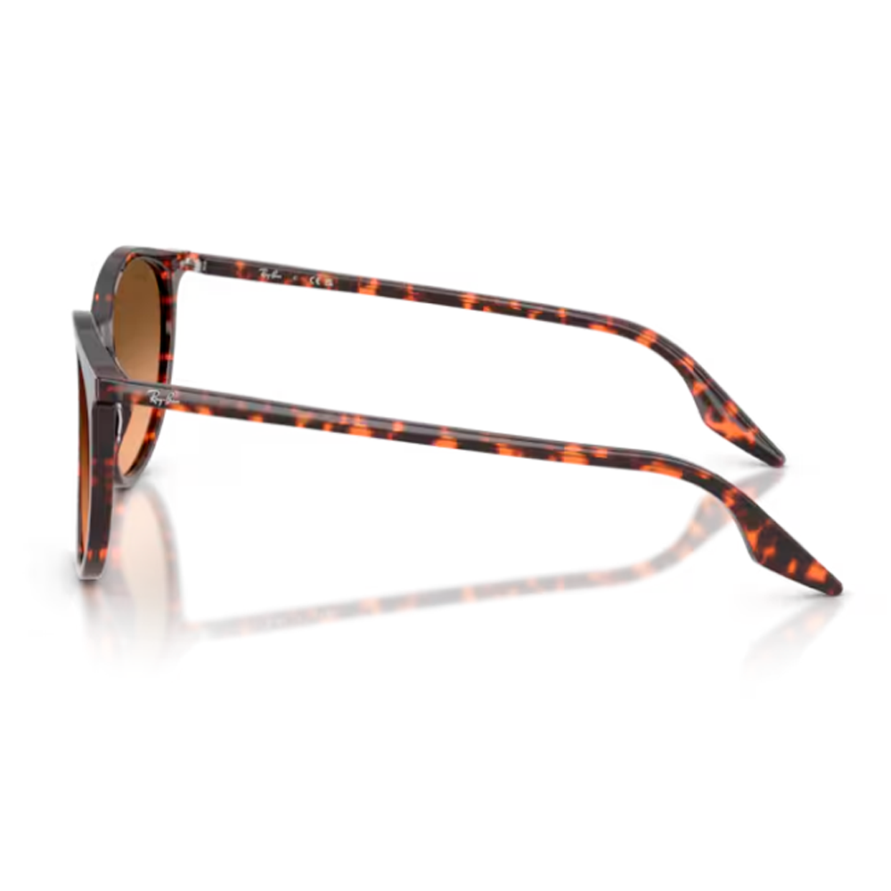 OCULOS SOLAR RAY-BAN RB2204 13935754 Marrom 2