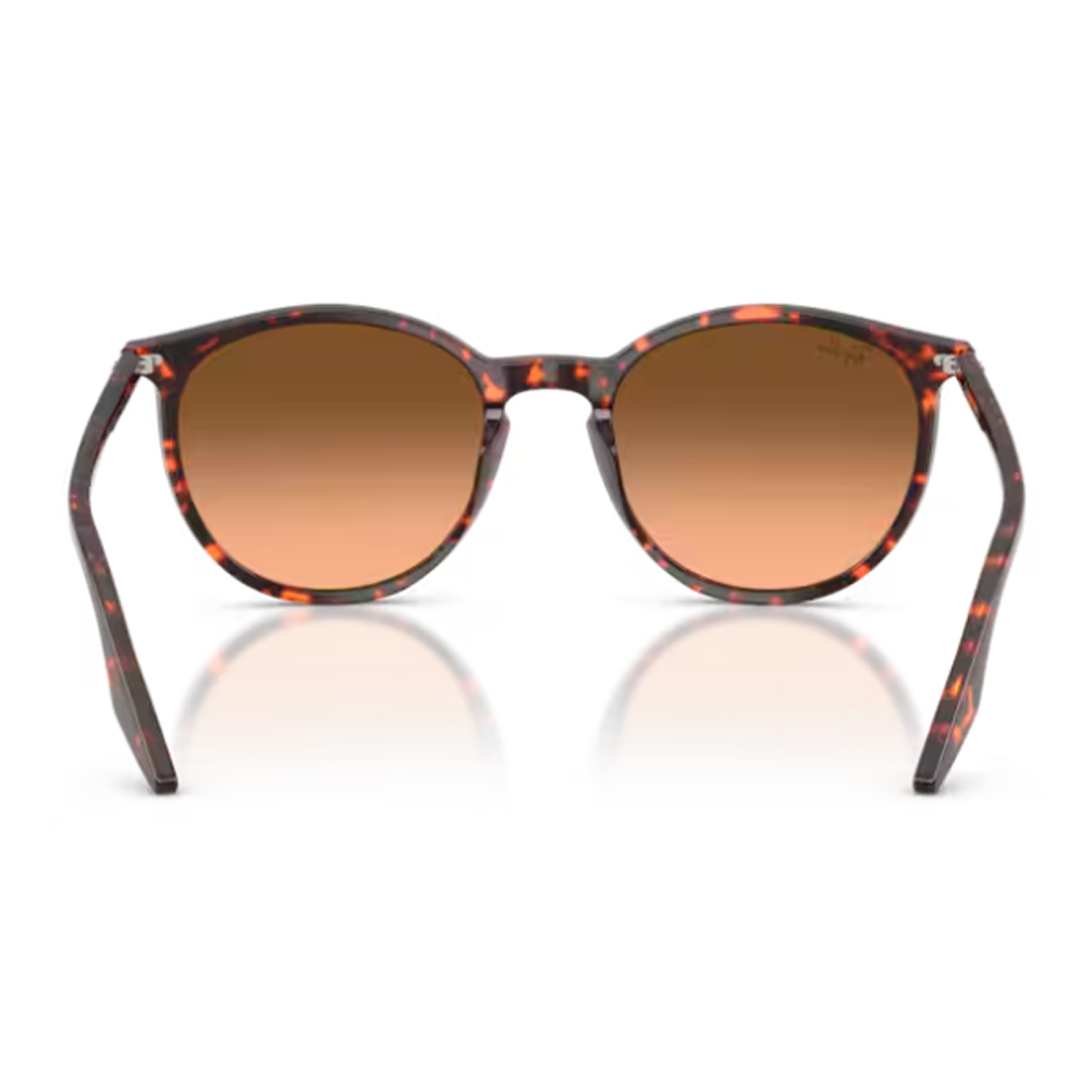 OCULOS SOLAR RAY-BAN RB2204 13935754 Marrom 3