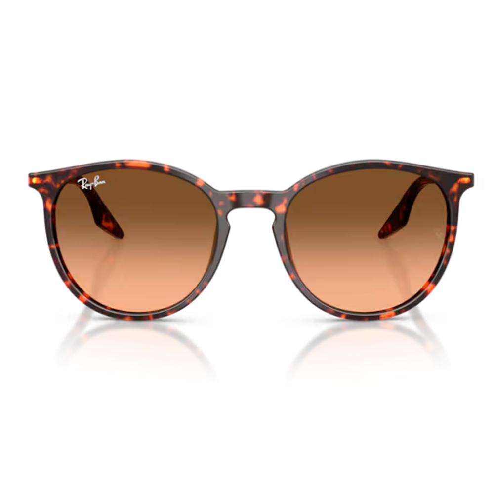 OCULOS SOLAR RAY-BAN RB2204 13935754 Marrom 4