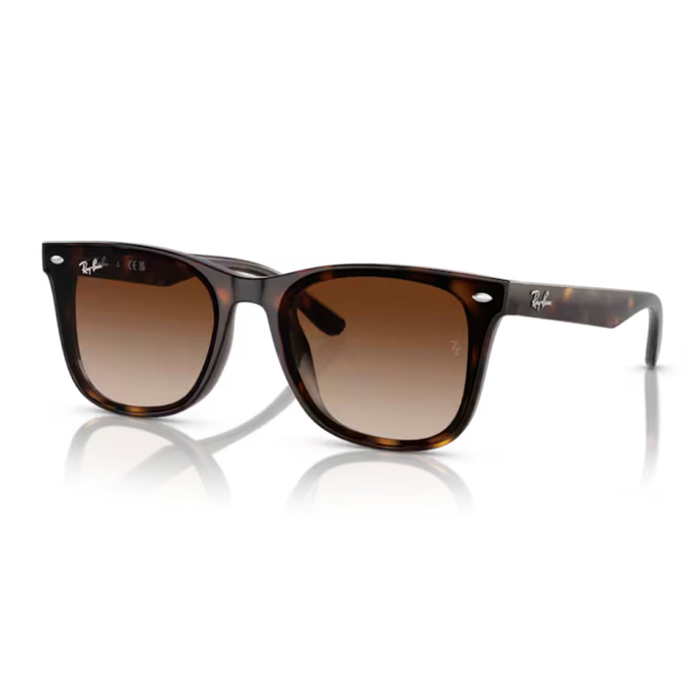 OCULOS SOLAR RAY-BAN RB4420 710/1365