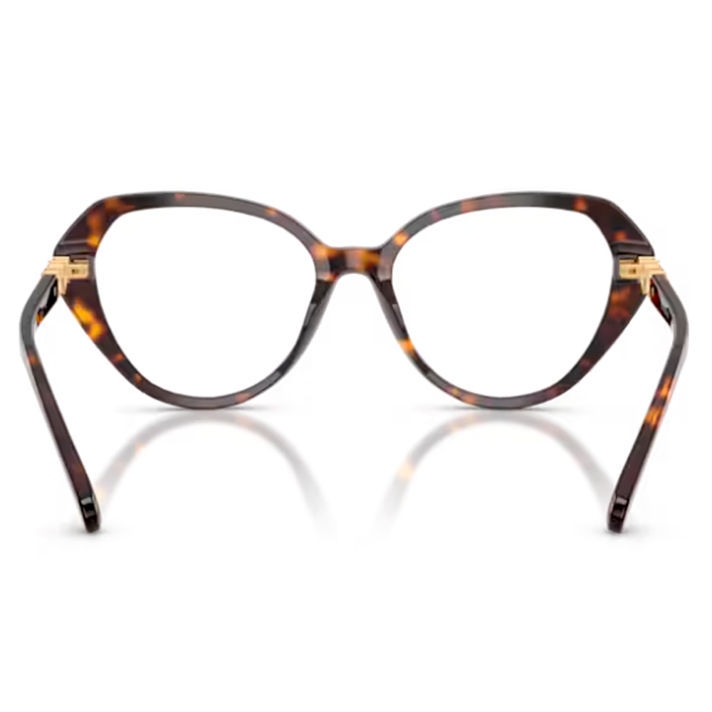 Armacao Swarovski Sk2054 1002 55 Havana 3