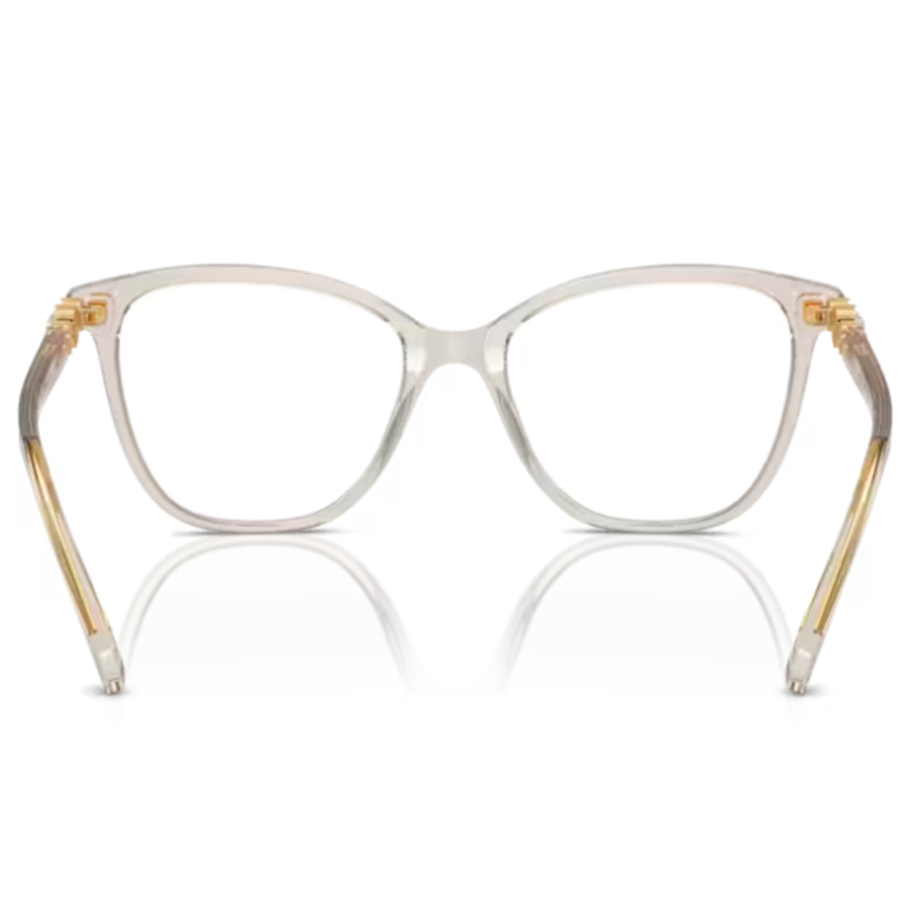 ARMACAO SWAROVSKI SK2020 3003 54 Cinza 3