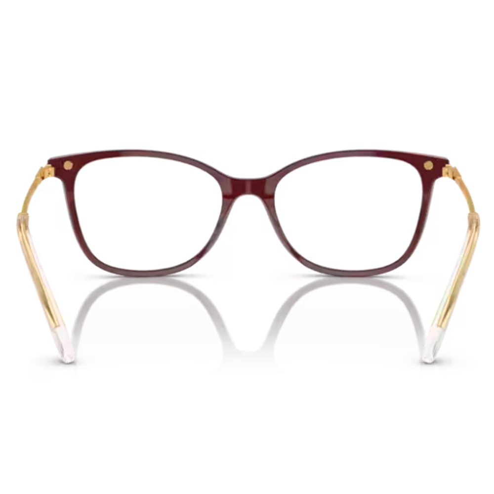 ARMACAO SWAROVSKI SK2010 1008 54 Bordô 3