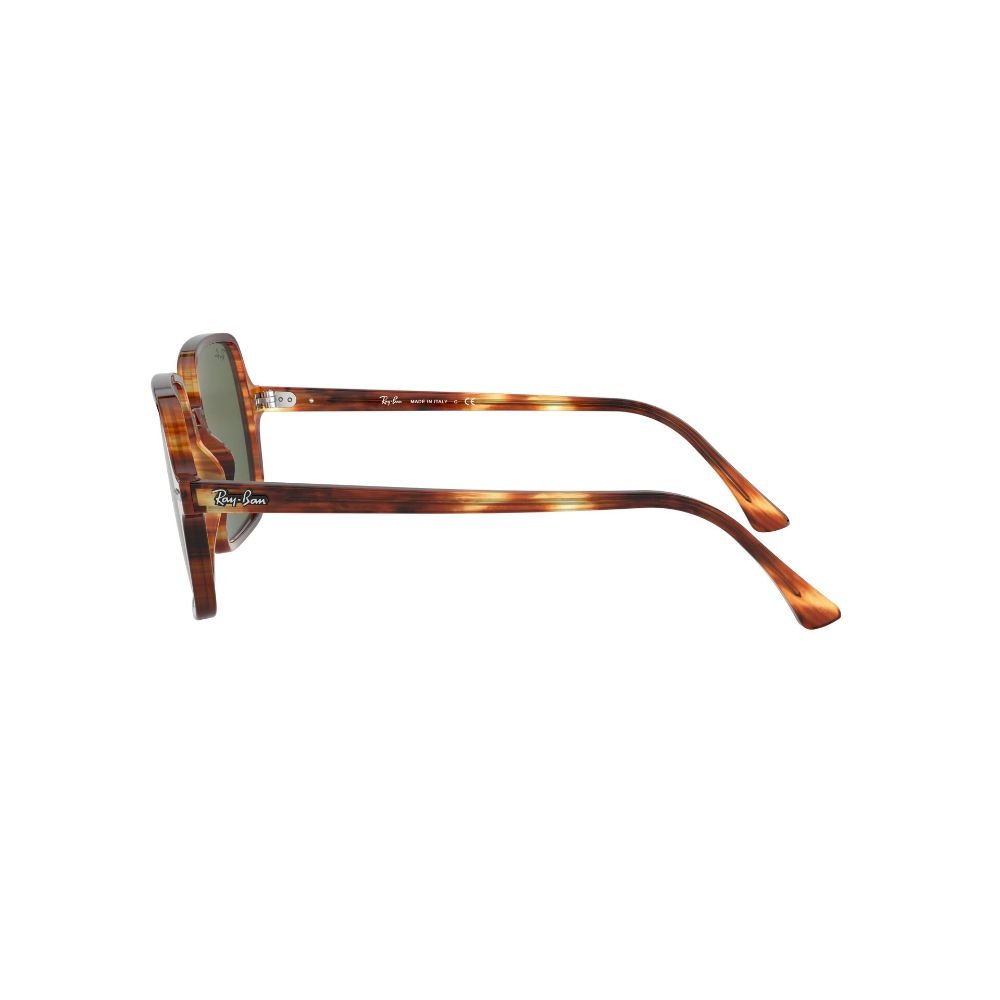 Óculos de Sol Feminino  Ray-Ban 0RB1973 Multicores 2