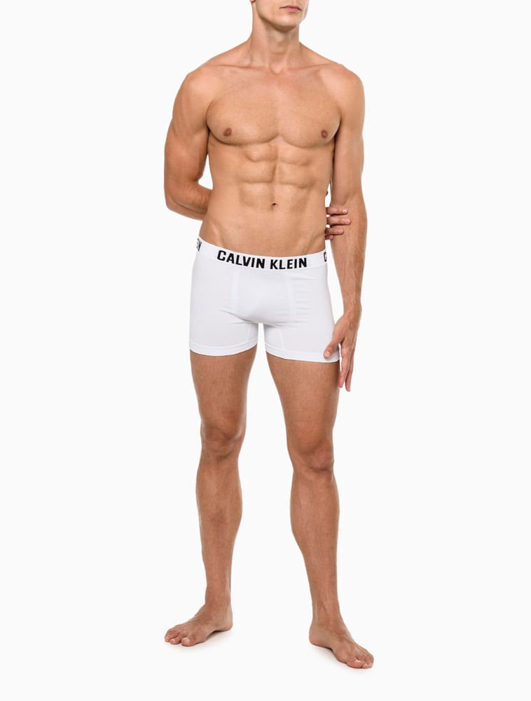 Kit 2 Underwear Trunk Seamless Sem Costura Cueca Calvin Klein - Multicolor Multicores 2