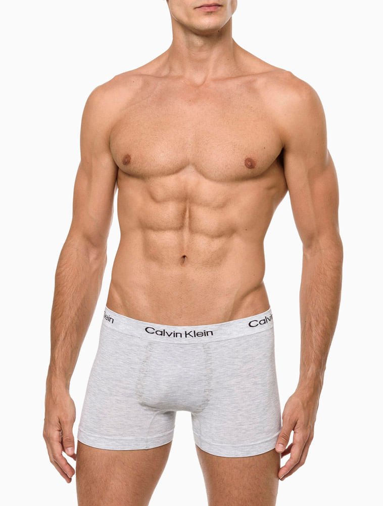 Kit 2 Cuecas Masculinas Seamless Viscose Calvin Klein Underwear - Chumbo/Cinza Claro Multicores 2