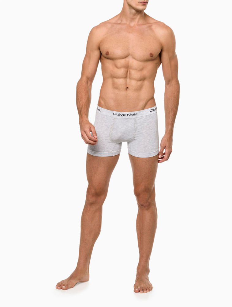 Kit 2 Cuecas Masculinas Seamless Viscose Calvin Klein Underwear - Chumbo/Cinza Claro Multicores 3