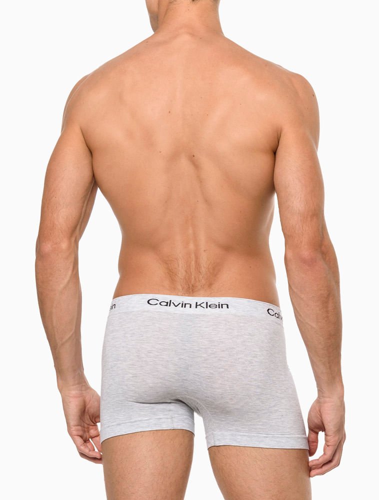 Kit 2 Cuecas Masculinas Seamless Viscose Calvin Klein Underwear - Chumbo/Cinza Claro Multicores 4
