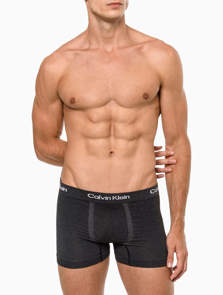 Kit 2 Cuecas Masculinas Seamless Viscose Calvin Klein Underwear - Chumbo/Cinza Claro Multicores 5