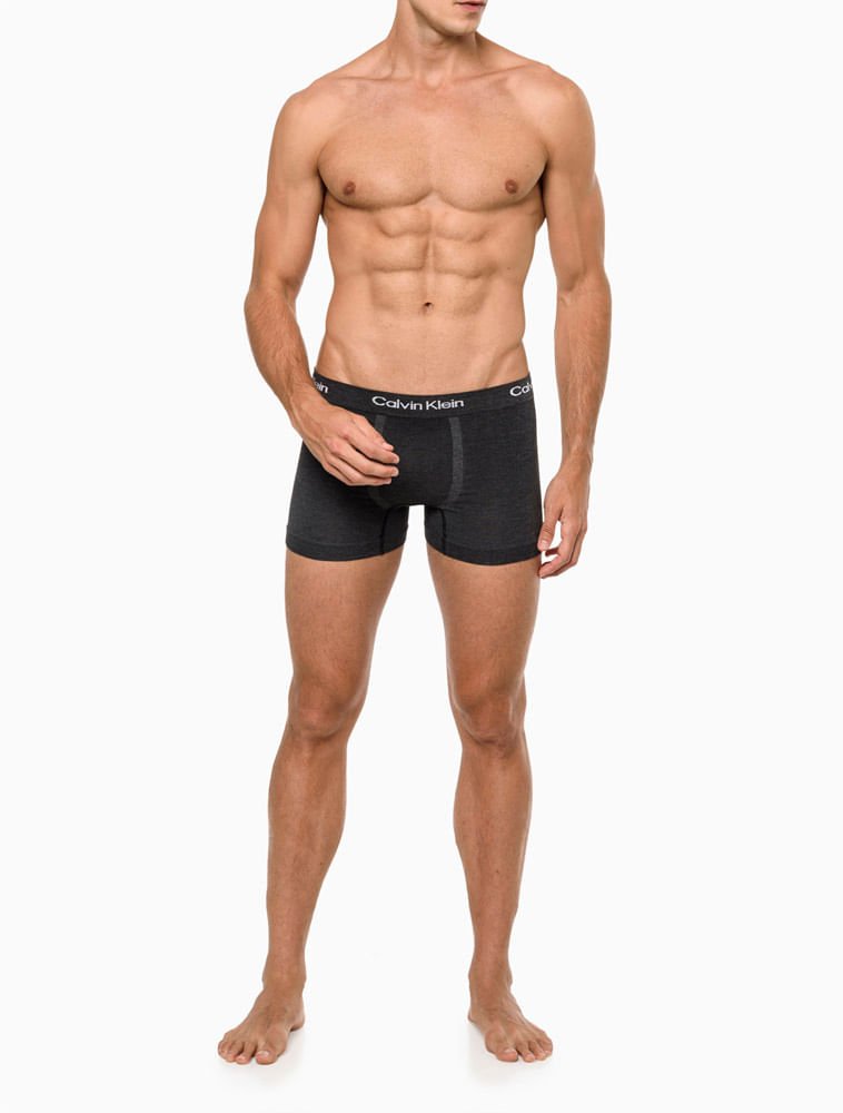 Kit 2 Cuecas Masculinas Seamless Viscose Calvin Klein Underwear - Chumbo/Cinza Claro Multicores 6