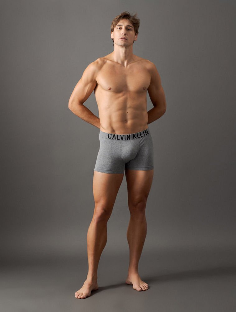 Cueca Trunk Intense Power Seamless Calvin Klein Underwear - Mescla Cinza 3