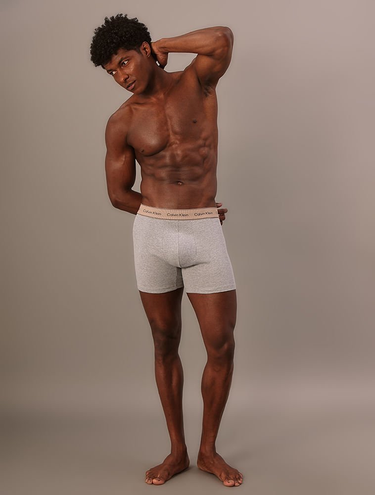 Cueca Boxer Haritage Cotton - Mescla Cinza 5