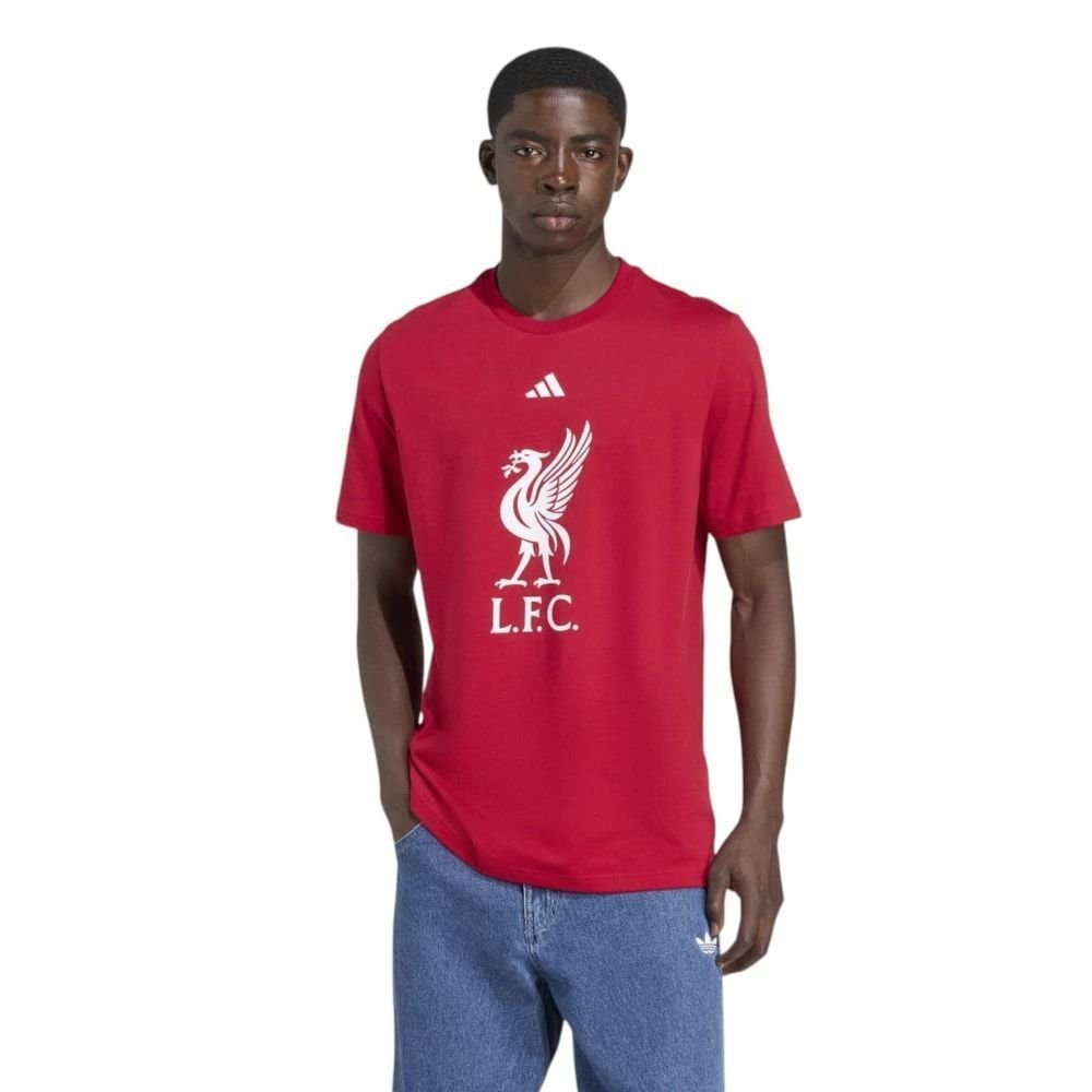 Camiseta Adidas Liverpool FC DNA Masculina