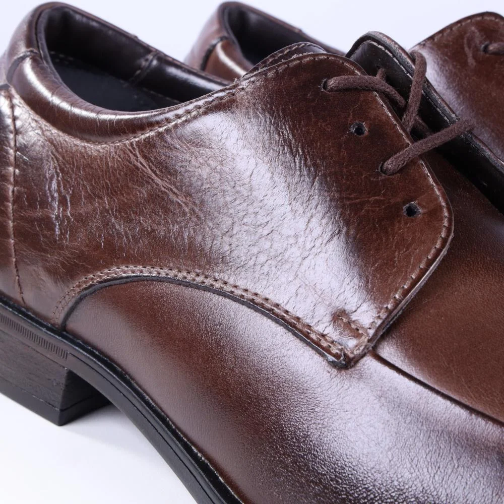 Sapato Masculino Zariff 0307 Brown Marrom 9