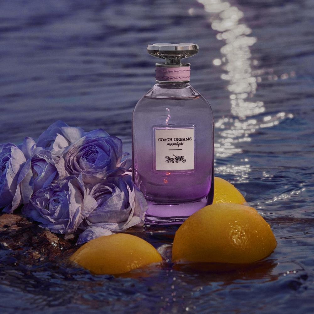 Coach Dreams Moonlight EDP Perfume Feminino 90ml 90ml 4