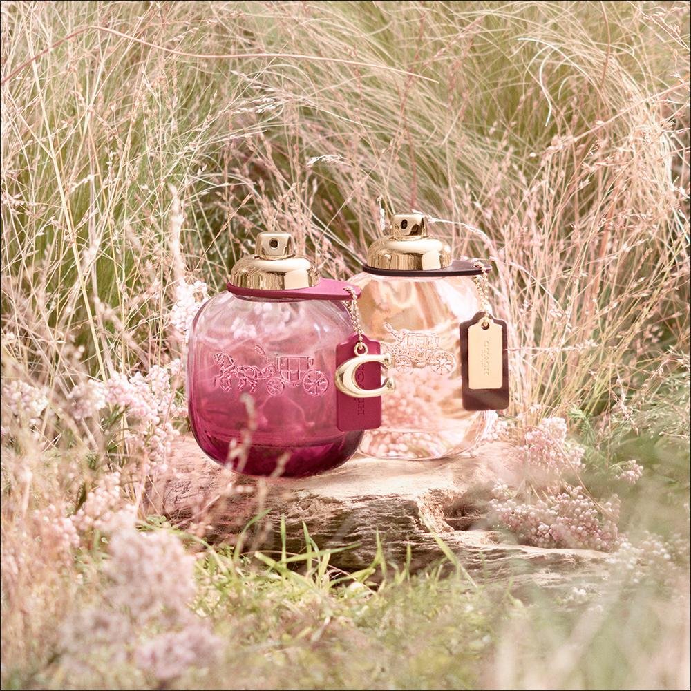 Coach Wild Rose Eau de Parfum Perfume Feminino 90ml 90ml 4