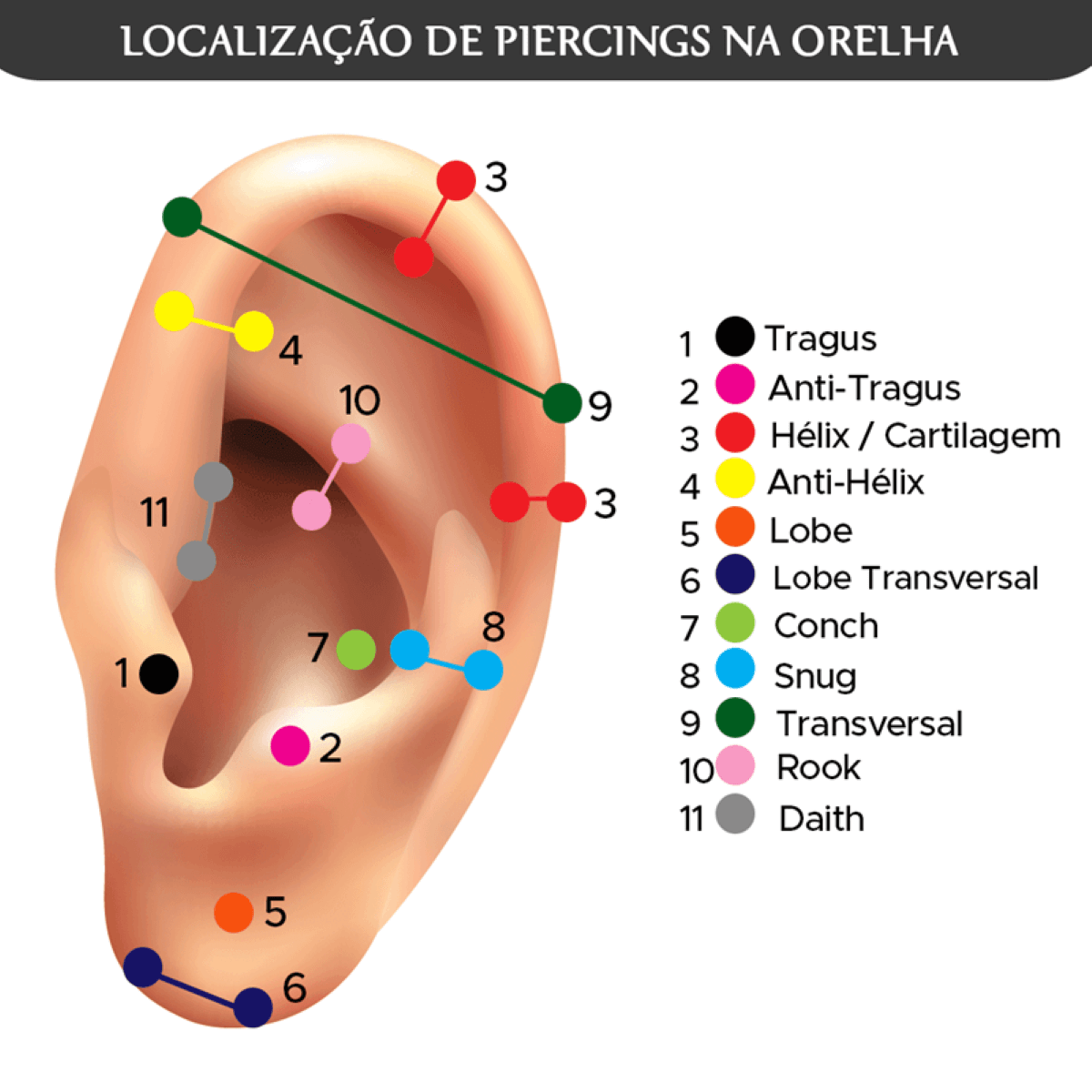 Piercing Orelha/Cartilagem Tragus, Hélix Labret Aço Cirúrgico - Loja de  Piercings