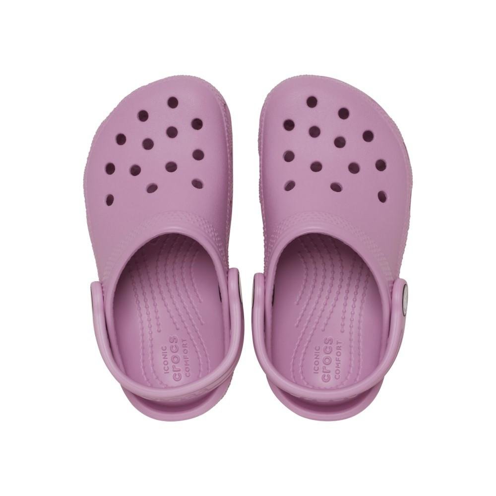 Sandália Crocs Classic Clog T
HYDRANGEA Hydrangea 5