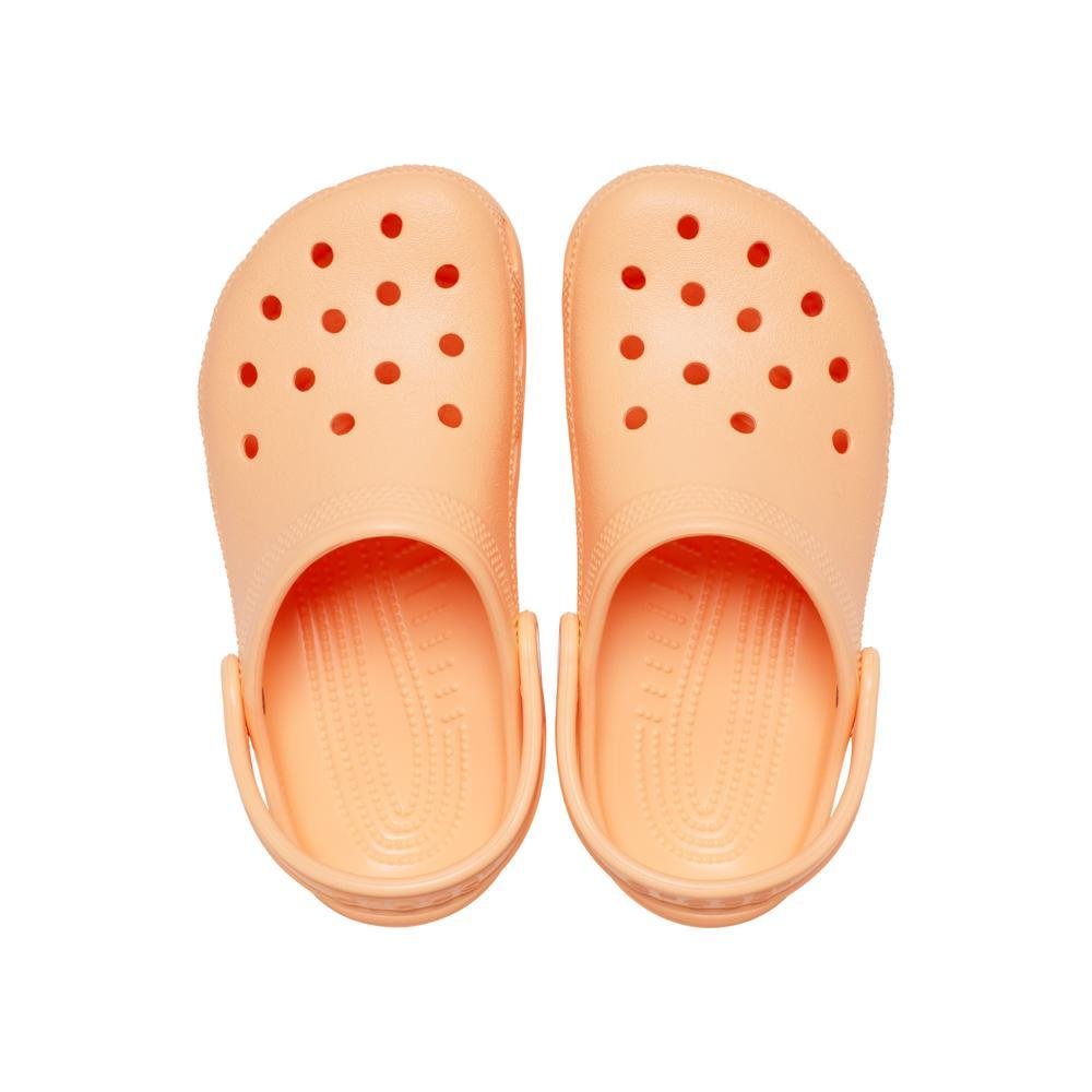 Sandália Crocs Classic Clog T
ELECTRIC SUNSTONE Electric sunstone 5