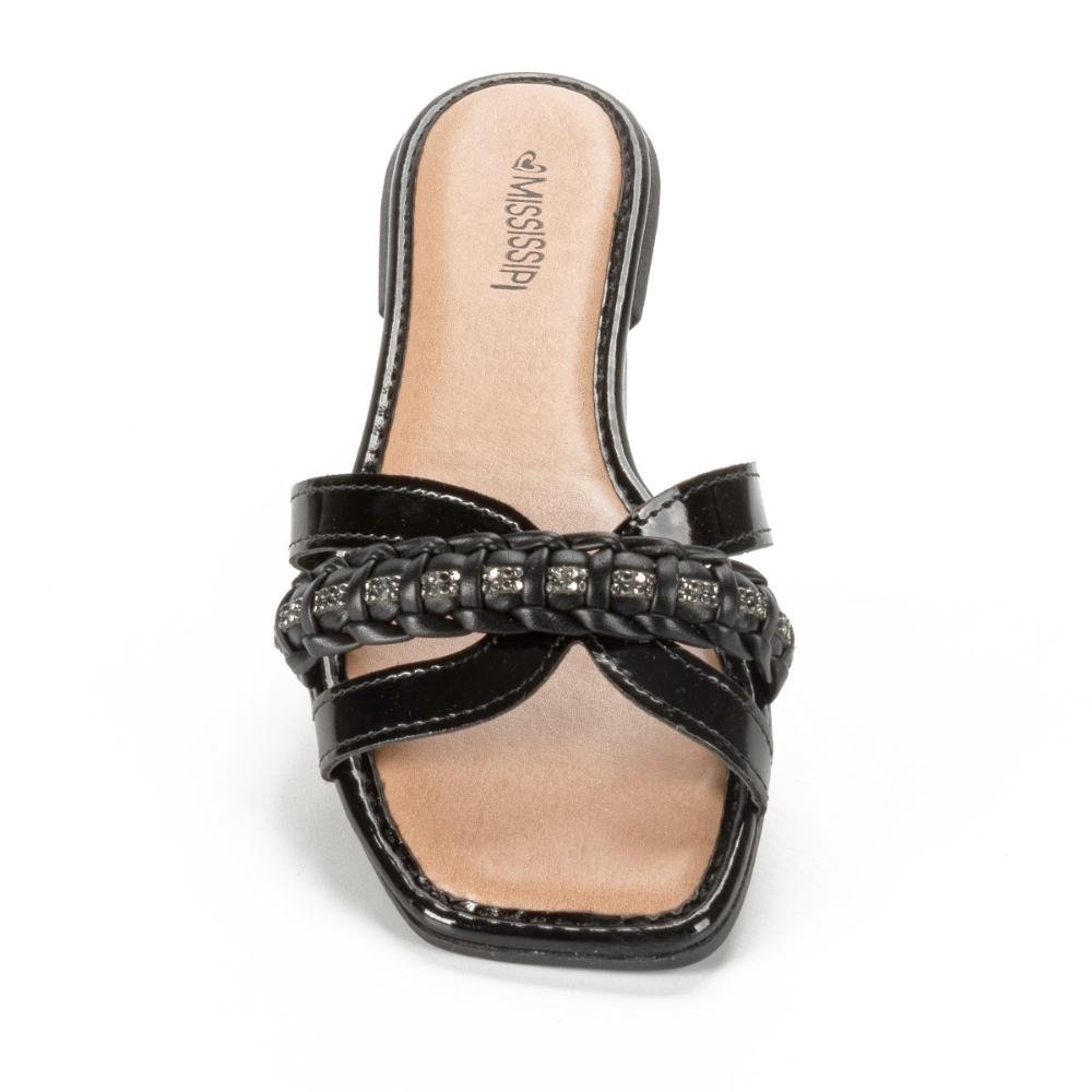 Slide Mississipi Preto 6