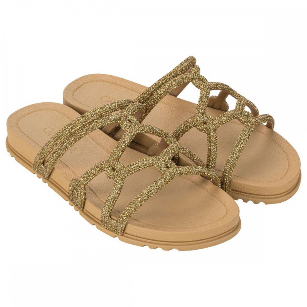 Chinelo Grendha 19082 Acolher Papete Feminino