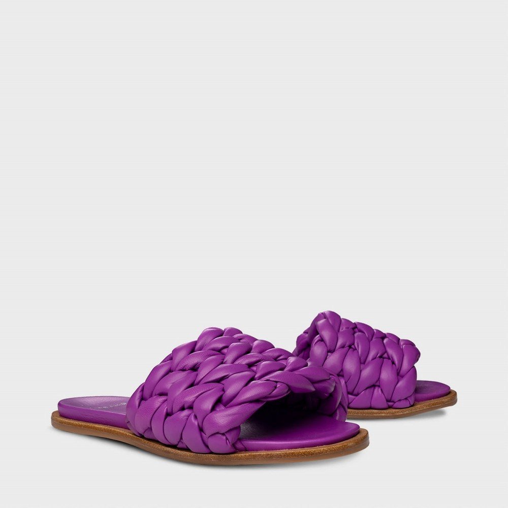 Chinelo Flat Carrano 556007 Roxo 2