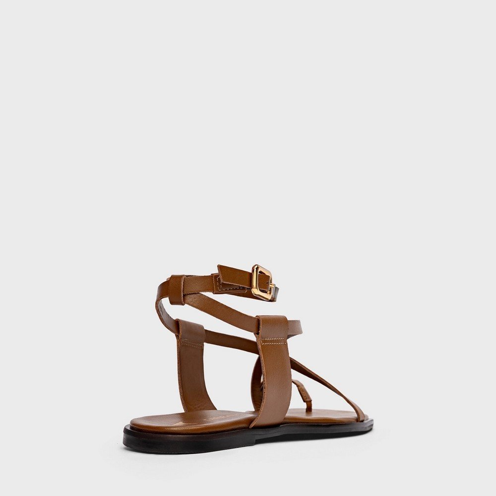 Rasteira Iconic Carrano 777038 Marrom 3