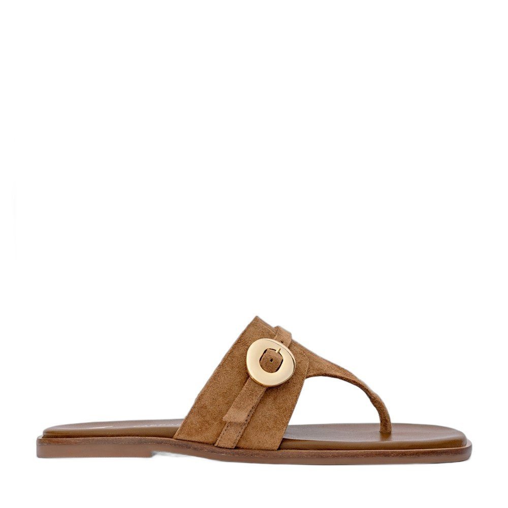 Chinelo Flat Carrano 777039