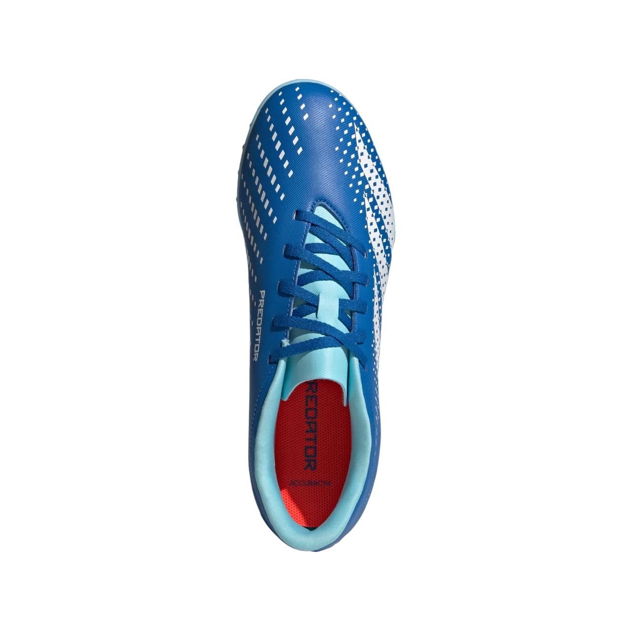 Chuteira Adidas Society Predator Accuracy Masculino GY9996 Azul 3
