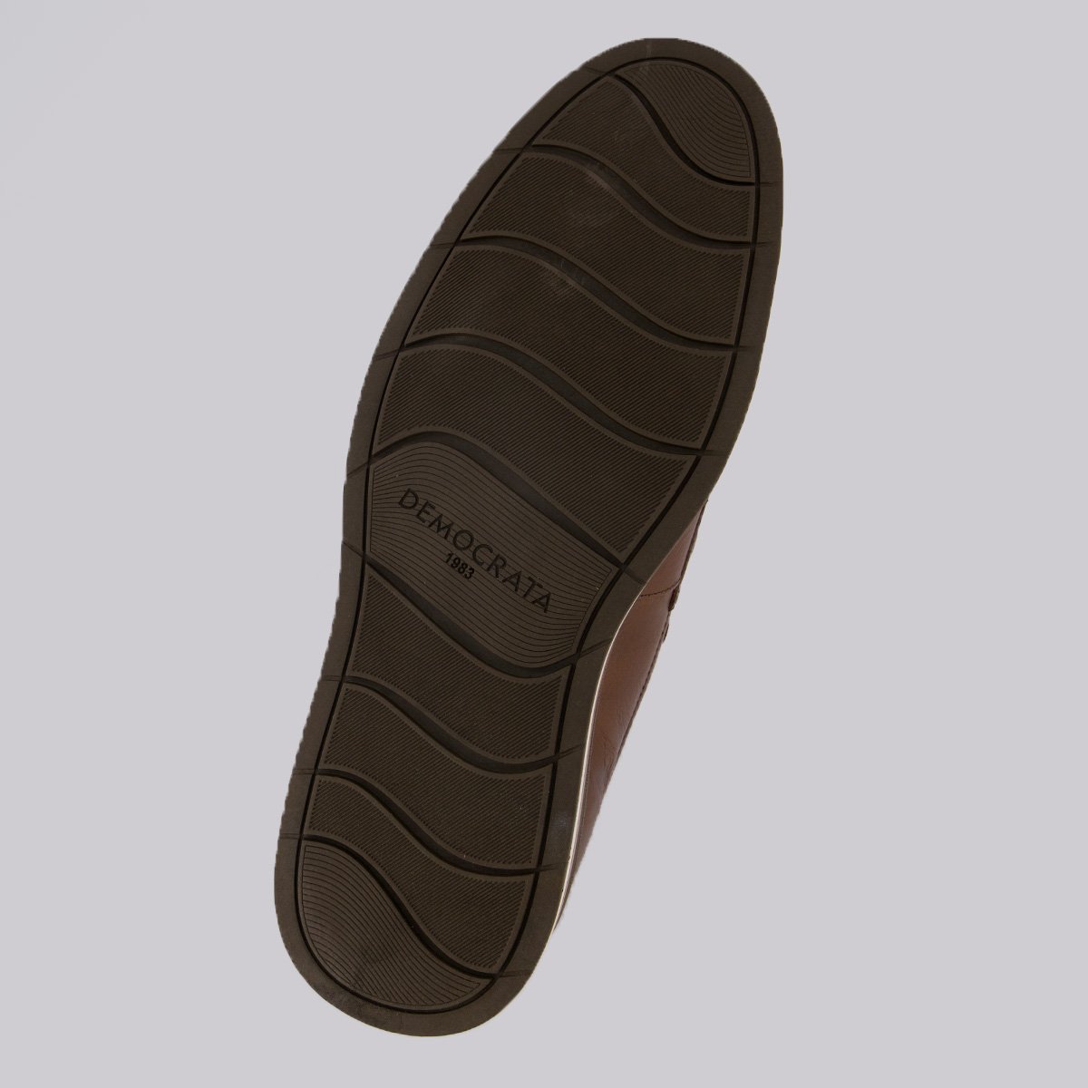 Sapato Democrata Type Marrom Marrom 5