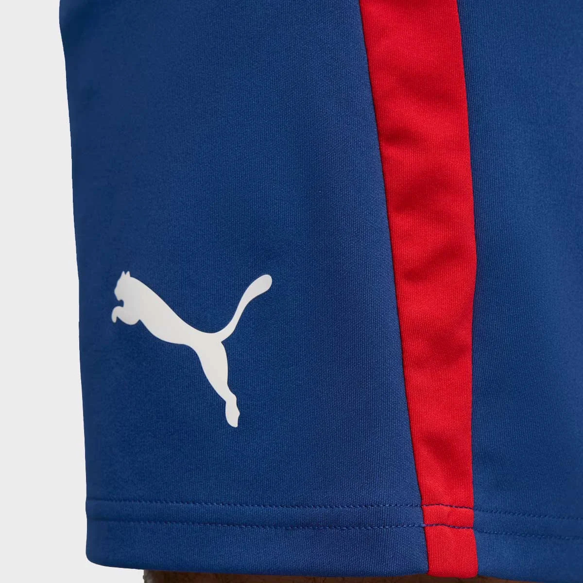 Shorts Puma Neymar JR Playmaker Training Azul Azul 5