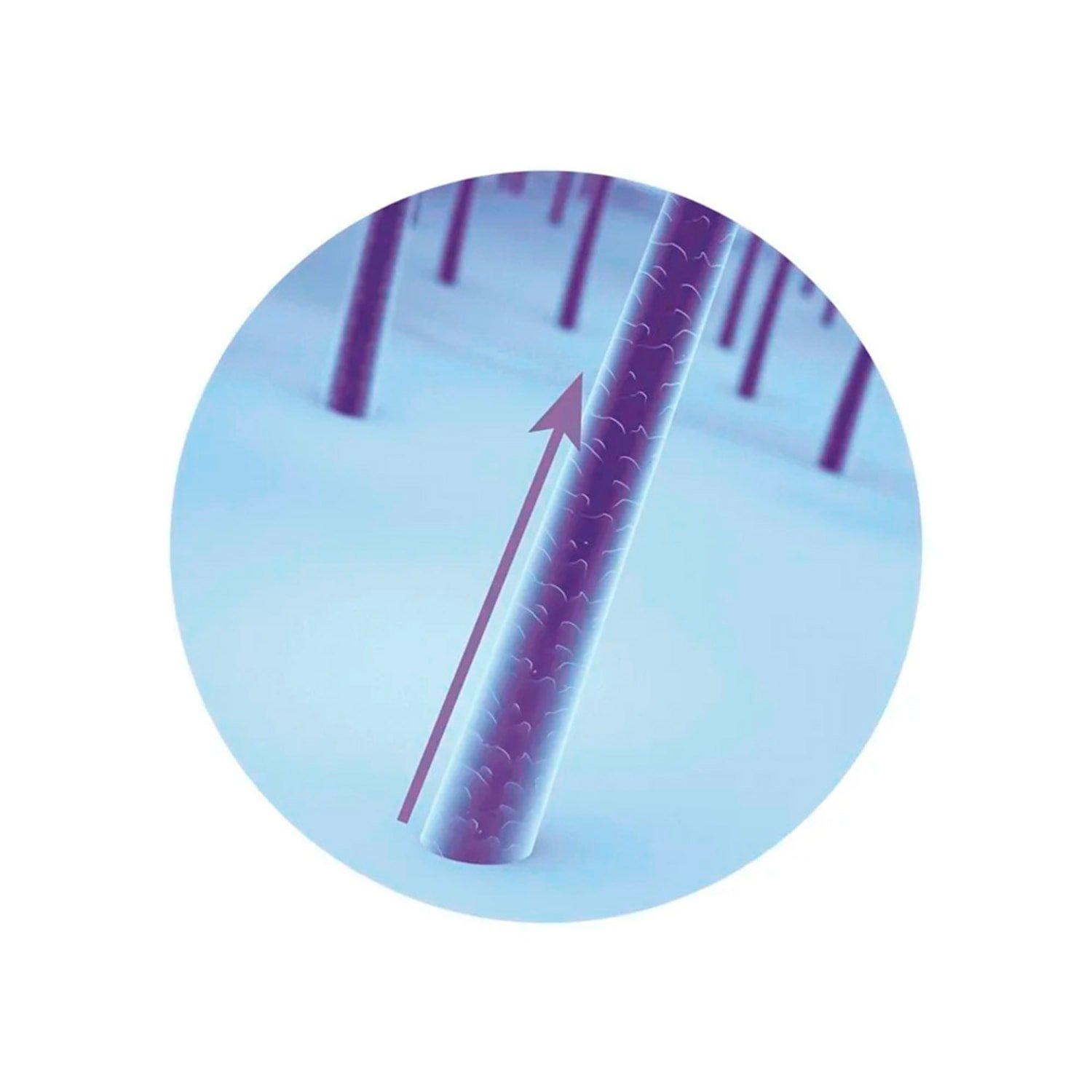 Eudora Tônico Capilar Siàge Acelera O Crescimento 65ml 65 ml 2