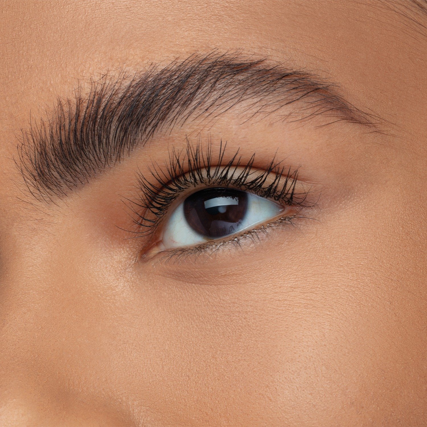 Quem disse, Berenice? Máscara para Sobrancelhas com Fibras Clarete Clarete 6