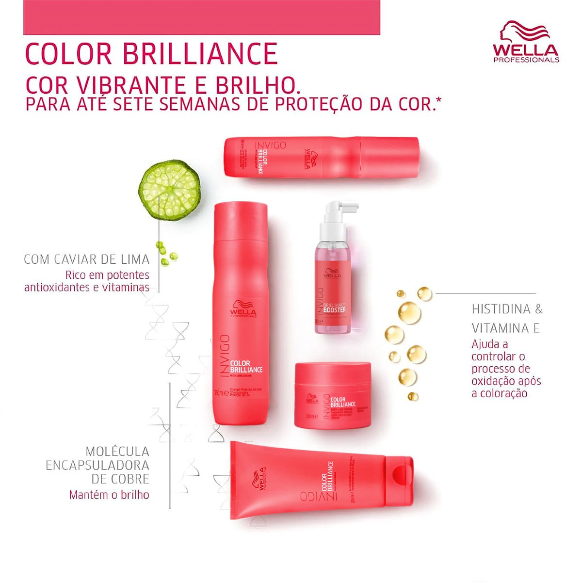 Kit Wella Professionals Invigo Nutri-Enrich Brilliance Shampoo Extra (2 produtos) ÚNICO 5