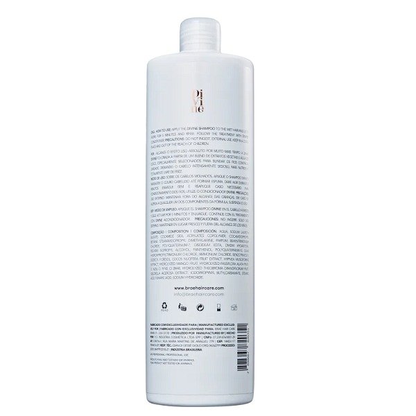 Brae Divine Anti-Frizz - Shampoo 1L+ Mascara 500g+ Leave-in 200g ÚNICO 6