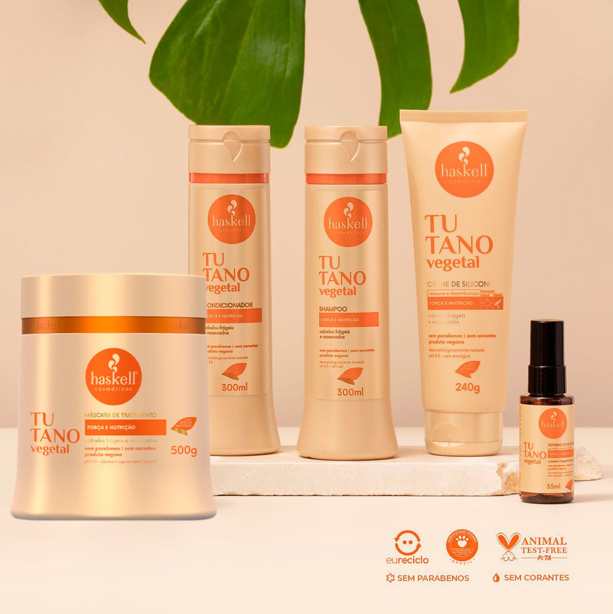 Kit Haskell Tutano Completo Forca Extra (5 produtos) ÚNICO 2