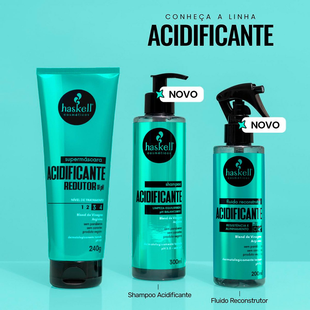Kit Haskell Acidificante Shampoo+Supermascara+Fluido Reconstrutor (3 produtos) ÚNICO 3