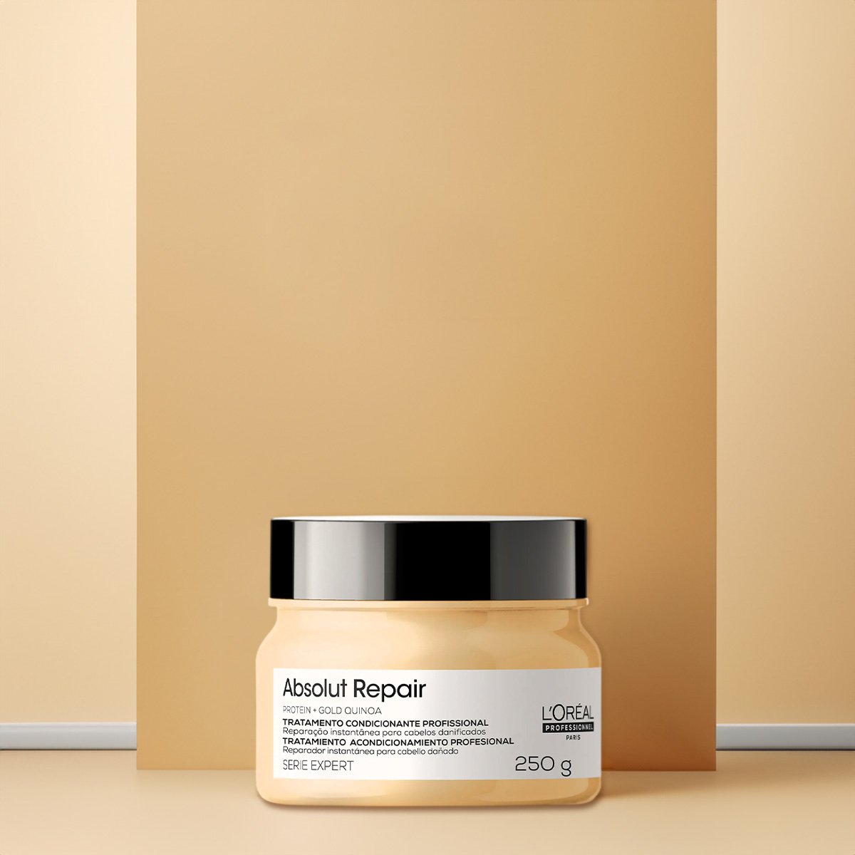 Kit LOreal Professionnel Absolut Repair Gold Shampoo Mascara 250 (2 produtos) ÚNICO 3