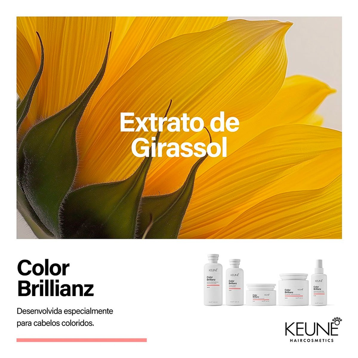 Kit Keune Color Brillianz - Cor Sem Desbotamento (2  produtos) ÚNICO 4