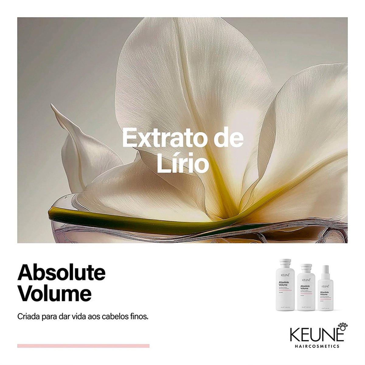 Kit Keune Absolute Volume - Cabelos Finos com Mais Volume (2 Produtos) ÚNICO 5