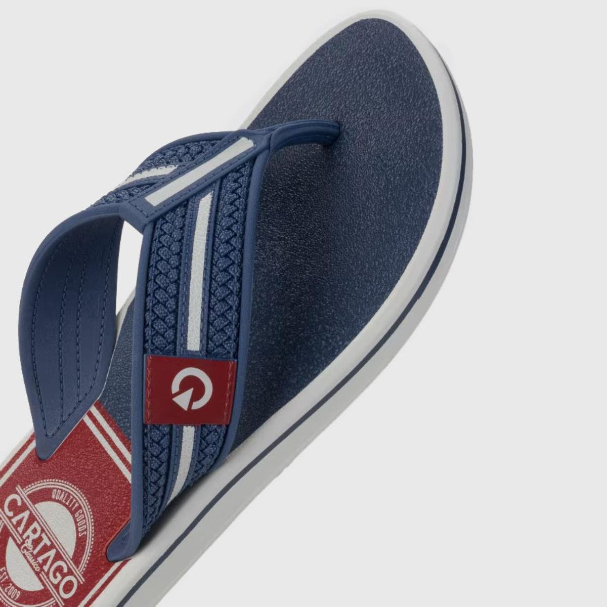 Chinelo Cartago Palermo Masculino - Cinza e Azul Azul 4