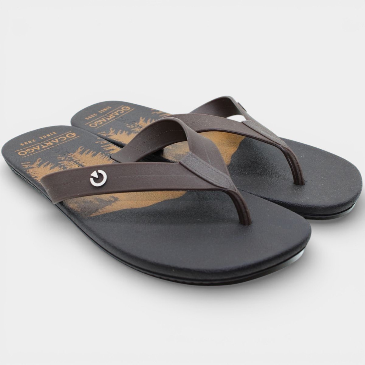 Chinelo Cartago Atlanta Masculino - Marrom e Bege